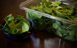Spinach in a plastic container next to a bowl.